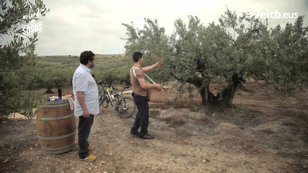 Centros-de-Salud-en-Moreda-de-Alava - La Sierra Noticias