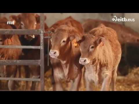 Excursiones-por-Arraia-Maeztu - La Sierra Noticias