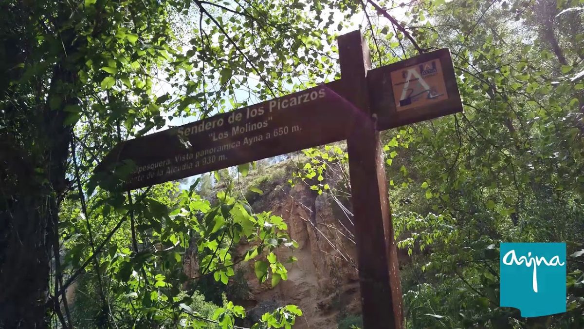 Excursiones-por-Ayna - La Sierra Noticias
