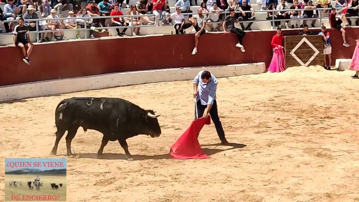 Fiestas-de-Alcadozo - La Sierra Noticias