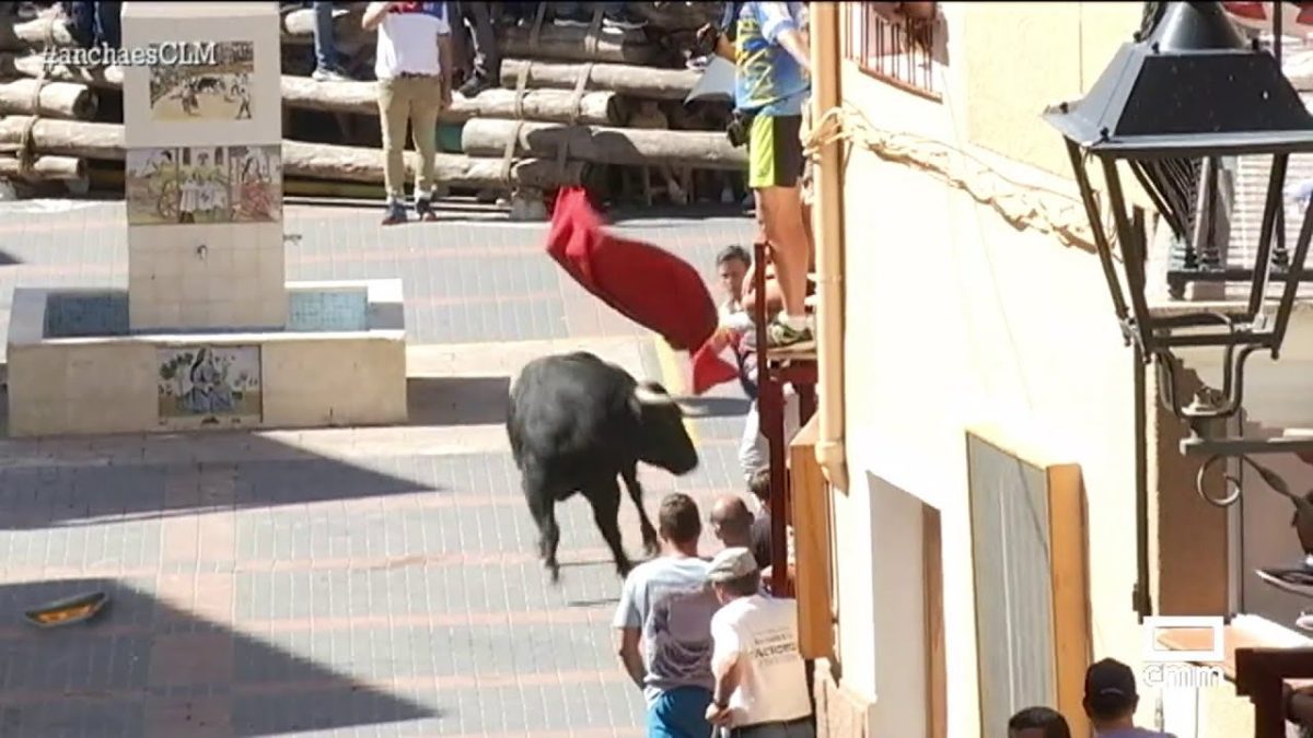 Fiestas-de-Elche-de-la-Sierra - La Sierra Noticias
