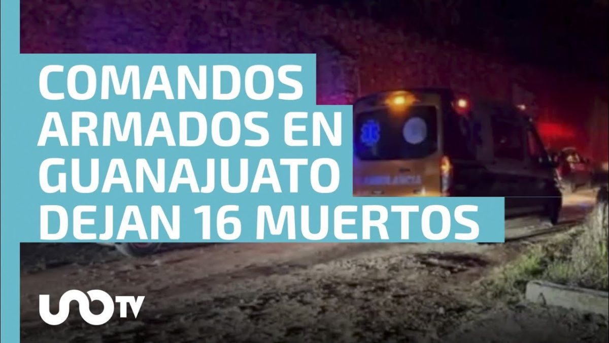 Fiestas-de-Salvatierra - La Sierra Noticias