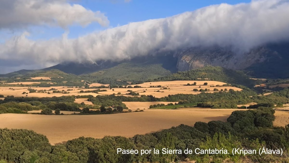 Sierra-de-Kripan - La Sierra Noticias