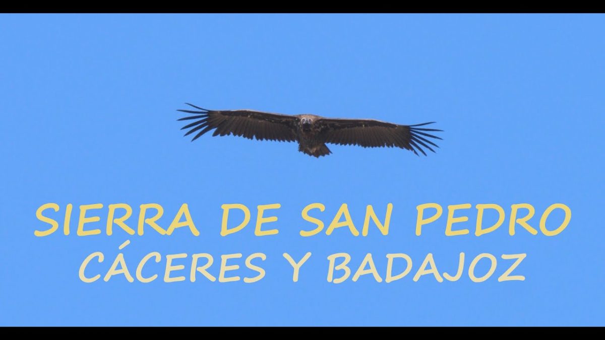 Sierra-de-San-Pedro - La Sierra Noticias