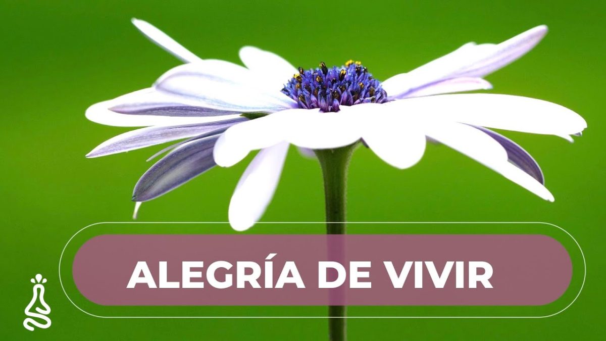 Vivir-en-Anana - La Sierra Noticias