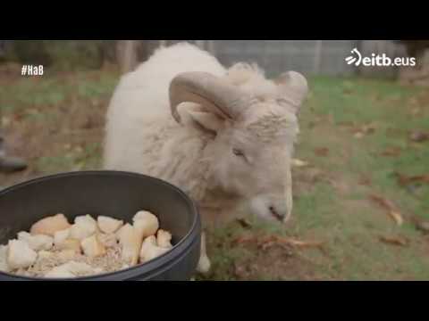 Vivir-en-Campezo - La Sierra Noticias