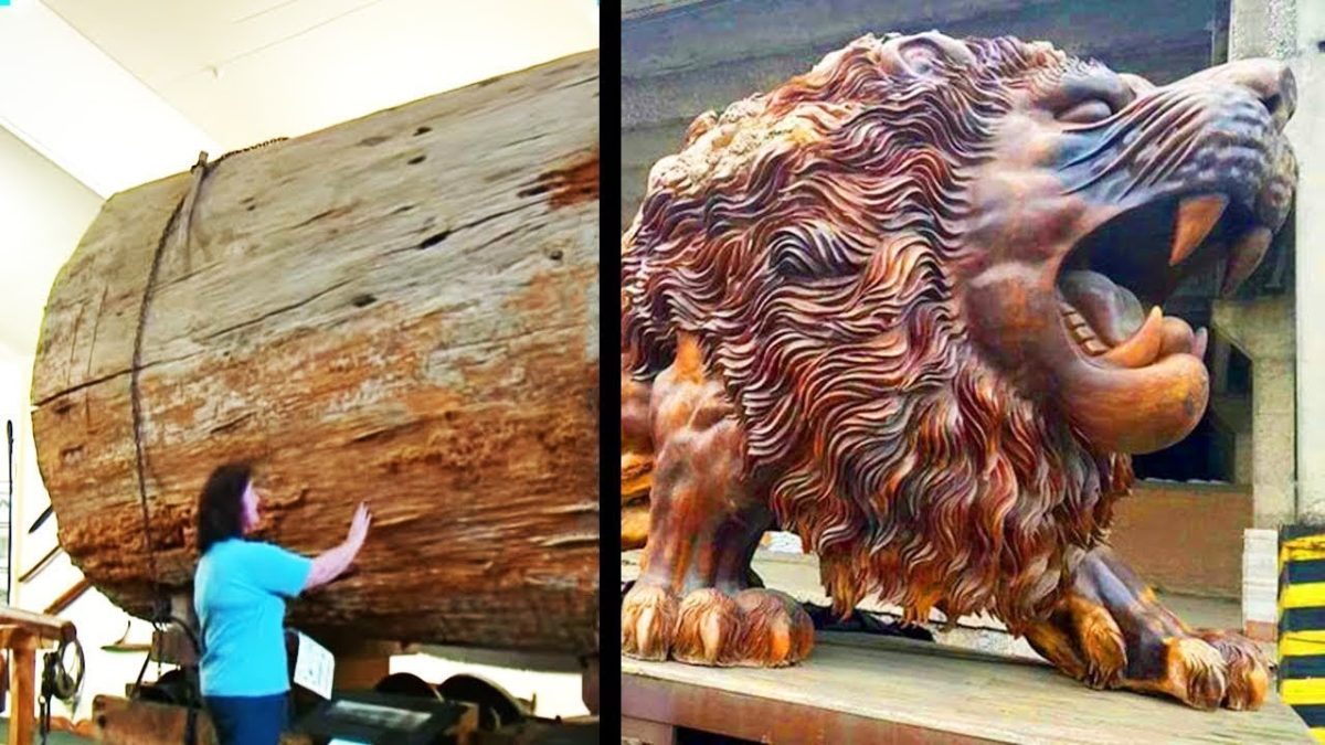 Arte-en-el-Paisaje-Esculturas-y-Instalaciones-en-la-Sierra - La Sierra Noticias