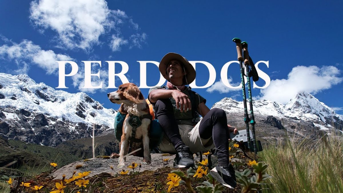 Aventuras-con-Caninos-Senderismo-con-Perros-en-la-Sierra - La Sierra Noticias