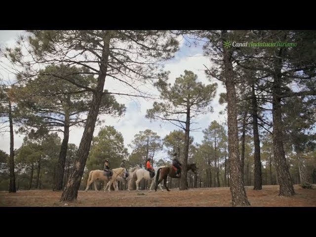 Descubre-la-Sierra-a-caballo-Paseos-ecuestres-inolvidables - La Sierra Noticias