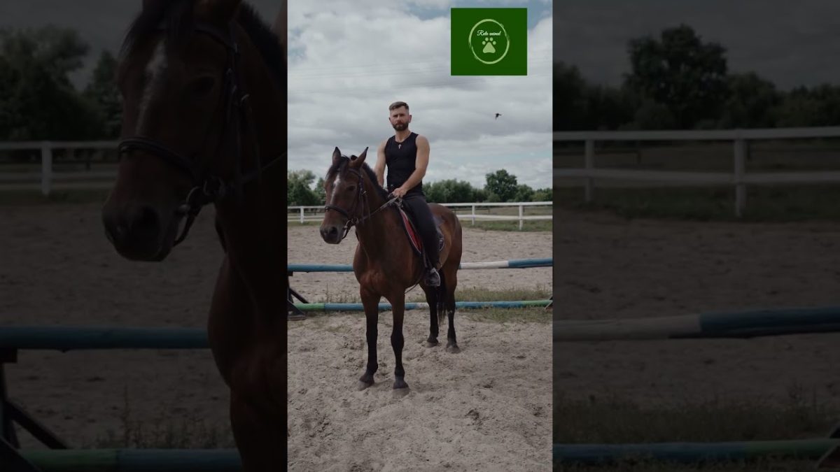 Descubre-la-Sierra-a-caballo-Una-experiencia-equina-inolvidable - La Sierra Noticias