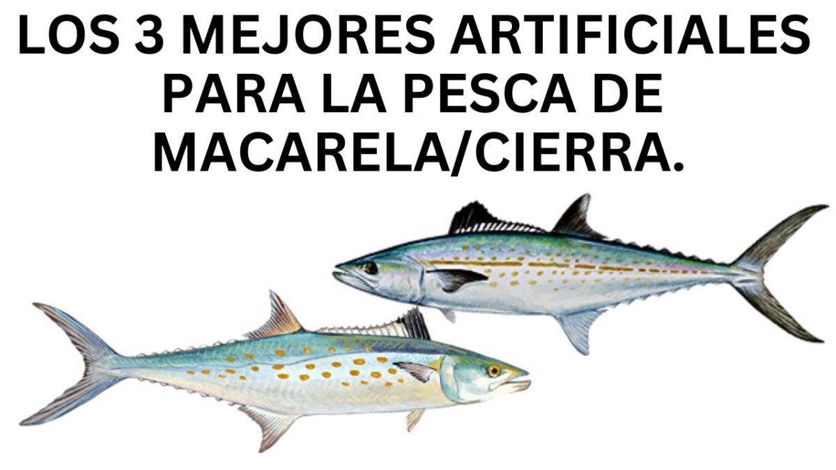 El-arte-de-la-pesca-Lugares-privilegiados-en-la-Sierra - La Sierra Noticias