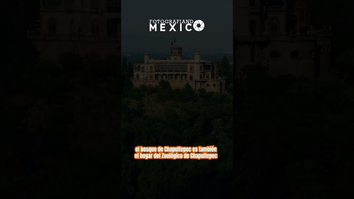 El-encanto-de-los-bosques-Descubre-los-pulmones-verdes-de-la-Sierra - La Sierra Noticias