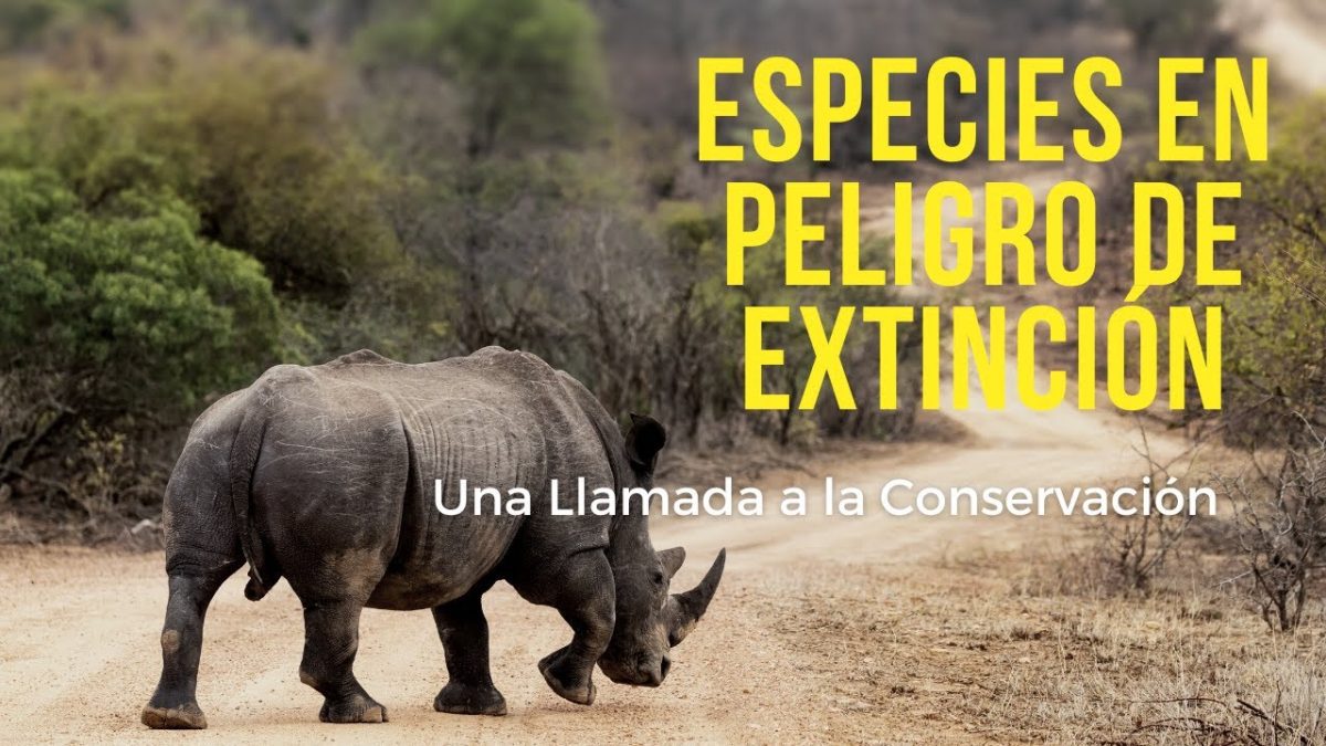 Especies-en-Peligro-Programas-de-Conservacion-en-la-Sierra - La Sierra Noticias