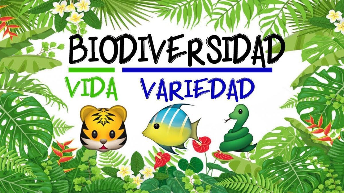 Especies-endemicas-Conoce-la-biodiversidad-de-la-Sierra - La Sierra Noticias