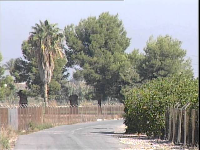 Excursiones-por-Almoradi - La Sierra Noticias