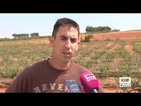 Excursiones-por-Villamalea - La Sierra Noticias