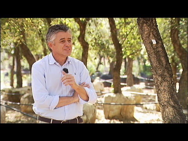 Excursiones-por-Viveros - La Sierra Noticias