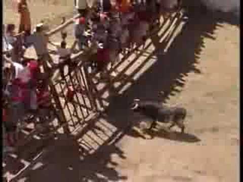 Fiestas-de-Letur - La Sierra Noticias
