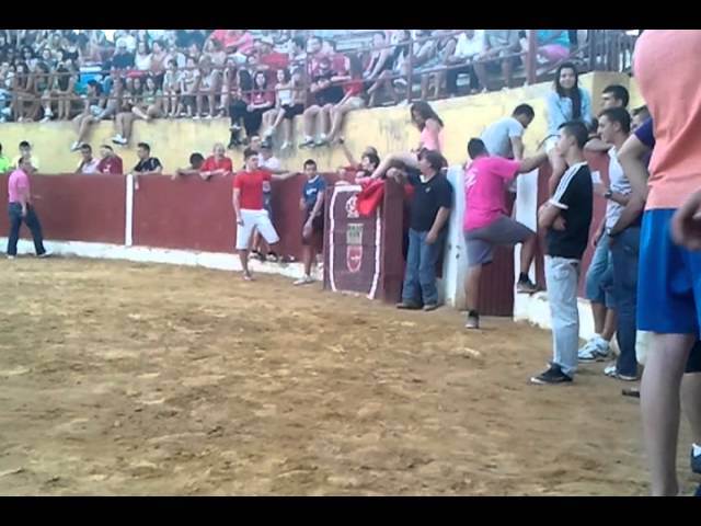 Fiestas-de-Viveros - La Sierra Noticias
