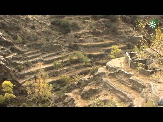 Historia-y-curiosidades-de-Abrucena - La Sierra Noticias