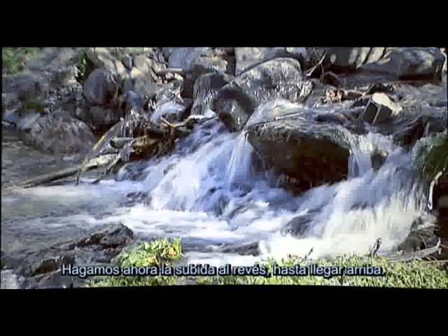 Parques-nacionales-Tesoros-naturales-de-la-Sierra - La Sierra Noticias
