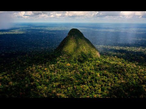 Reservas-naturales-Protegiendo-la-biodiversidad-de-la-Sierra - La Sierra Noticias