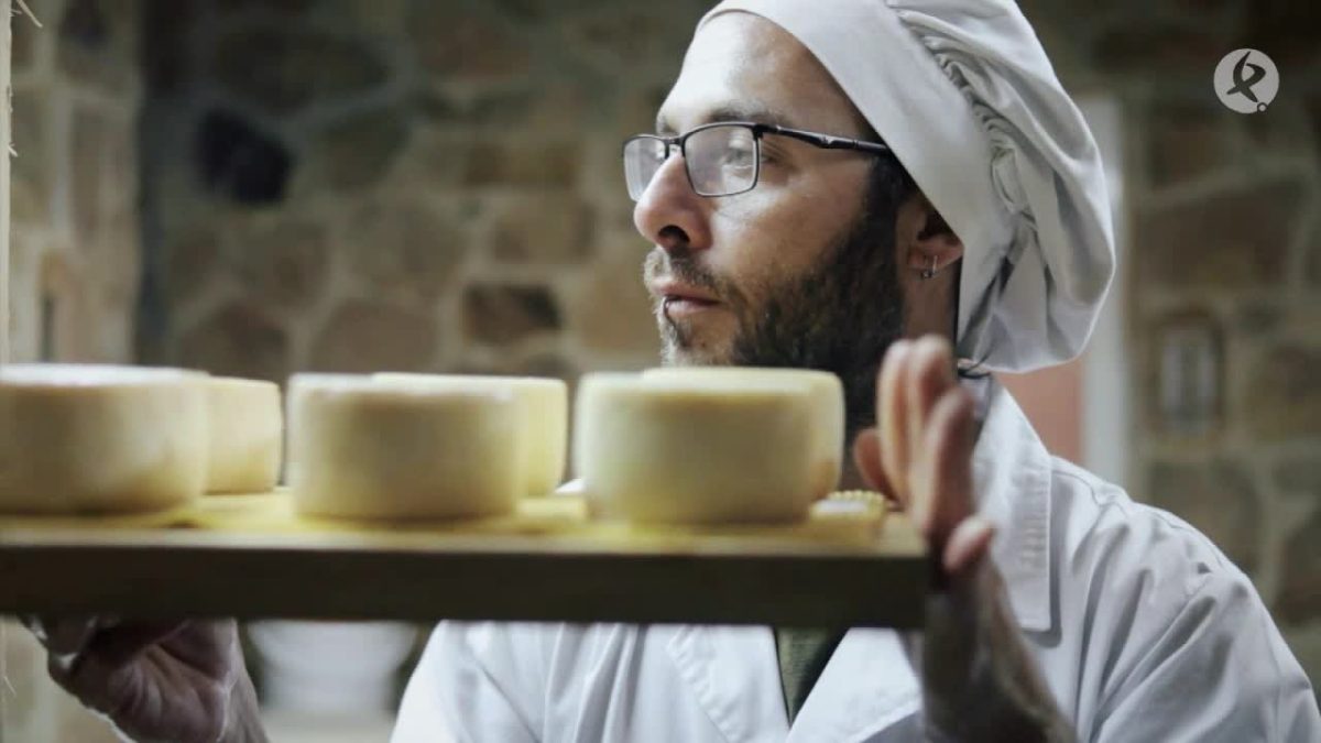 Sabores-de-Altura-Cata-de-Quesos-y-Vinos-en-la-Sierra - La Sierra Noticias