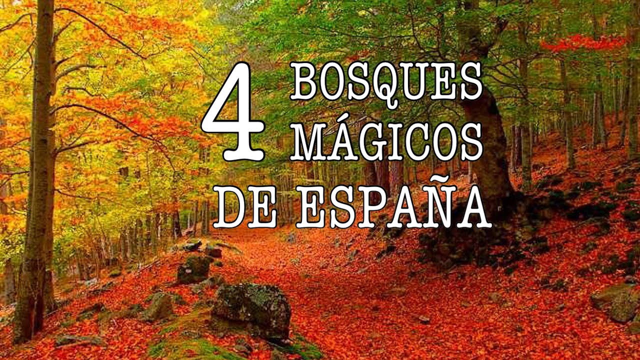 Senderos-de-Otono-Paisajes-Pintorescos-en-Tonalidades-Calidas - La Sierra Noticias