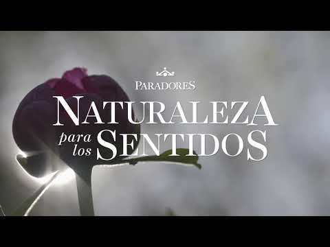 Sierra-Multisensorial-Disfruta-de-la-Naturaleza-con-Todos-los-Sentidos - La Sierra Noticias
