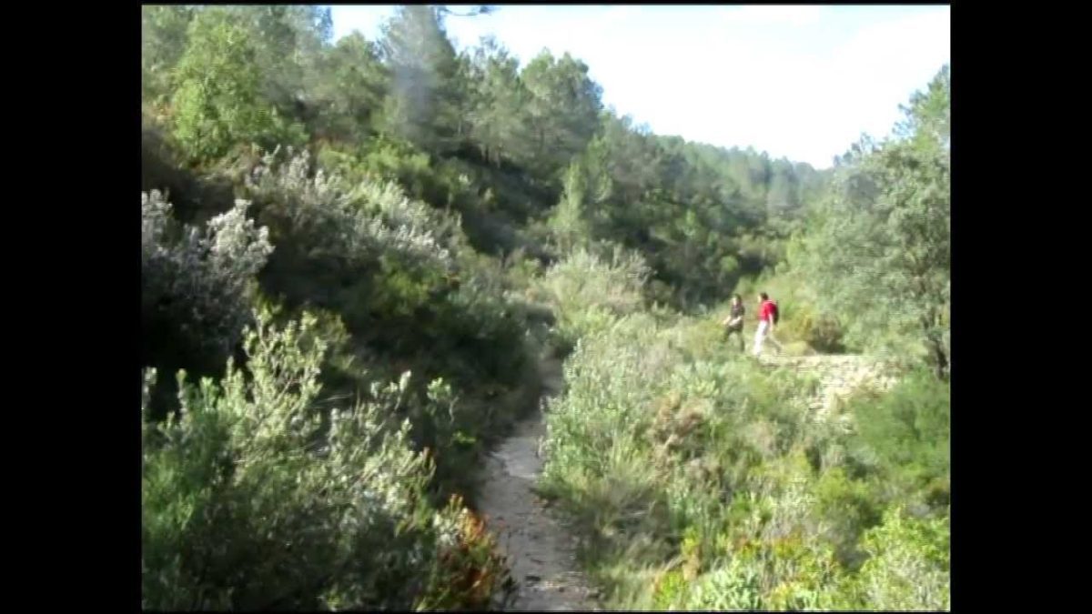 Sierra-de-Beneixama - La Sierra Noticias