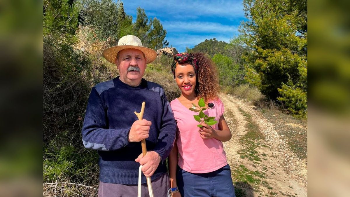 Sierra-de-Cocentaina - La Sierra Noticias