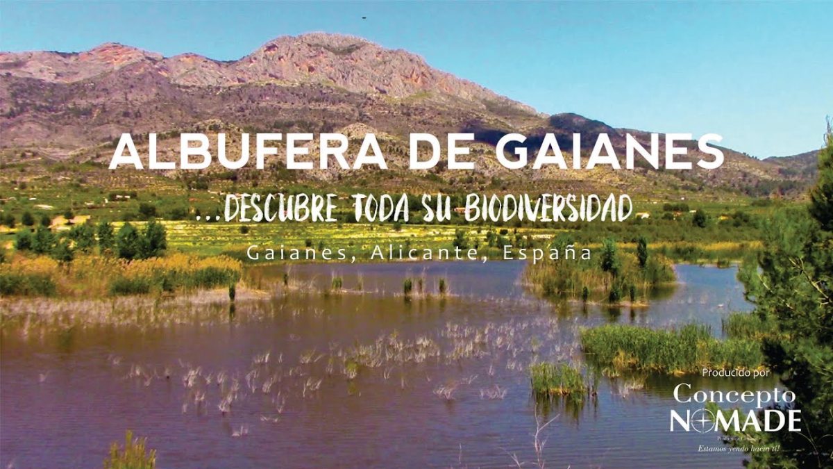 Sierra-de-Gaianes - La Sierra Noticias