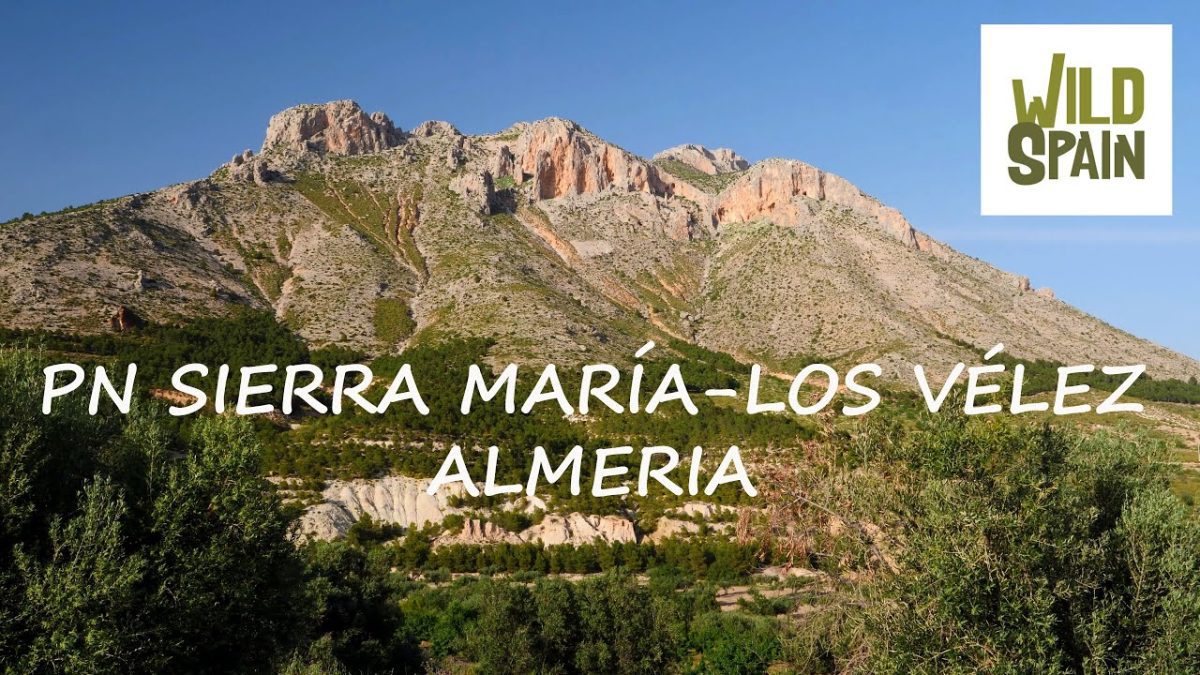 Sierra-de-Maria - La Sierra Noticias
