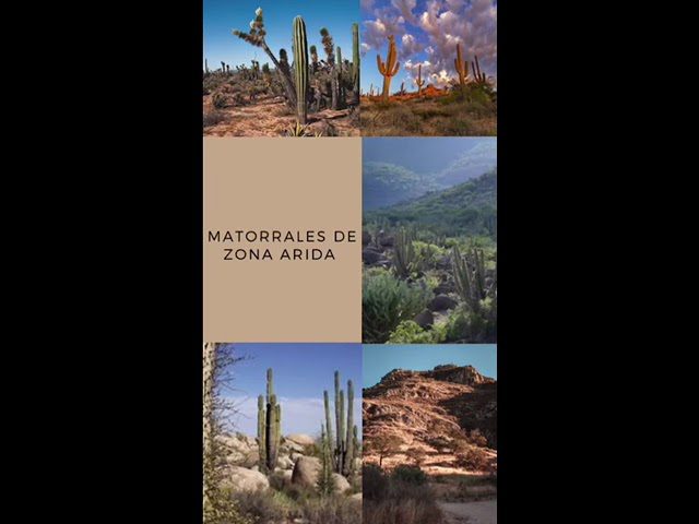 Sierra-de-Mojonera - La Sierra Noticias