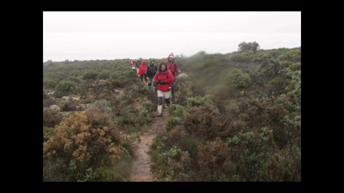 Sierra-de-Parcent - La Sierra Noticias