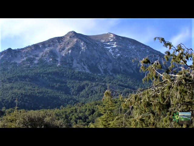 Sierra-de-Sagra - La Sierra Noticias