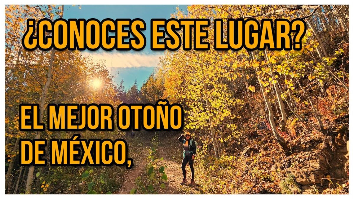 Sierra-en-otono-Un-festival-de-colores-y-texturas - La Sierra Noticias