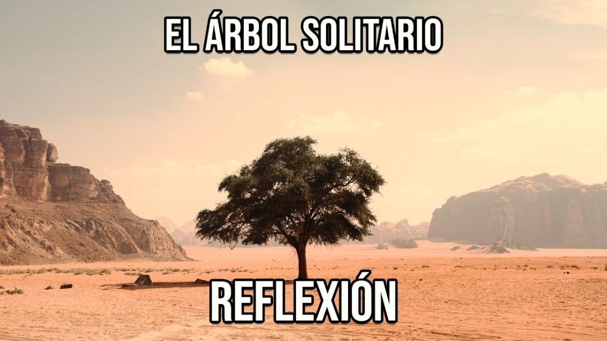 Sierra-en-solitario-Reflexiones-personales-sobre-la-naturaleza - La Sierra Noticias