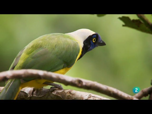 Sierra-salvaje-Encuentra-la-aventura-en-la-naturaleza - La Sierra Noticias