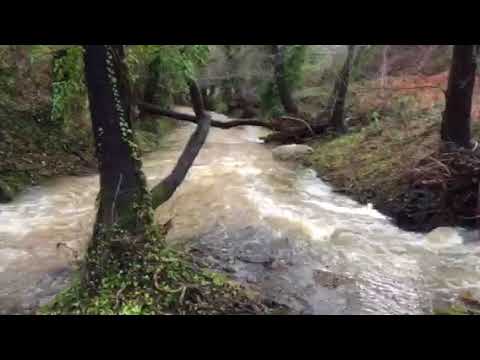 Travesias-en-Riachuelos-Explorando-los-Arroyos-de-la-Sierra - La Sierra Noticias