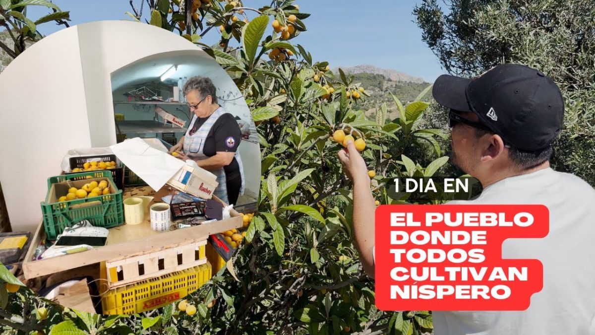 Vivir-en-Bolulla - La Sierra Noticias