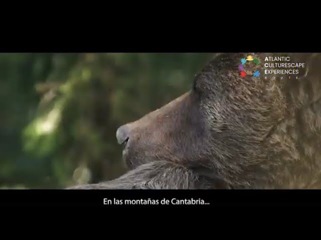 Escapada-Cultural-Descubre-el-Patrimonio-Historico-en-la-Montana - La Sierra Noticias