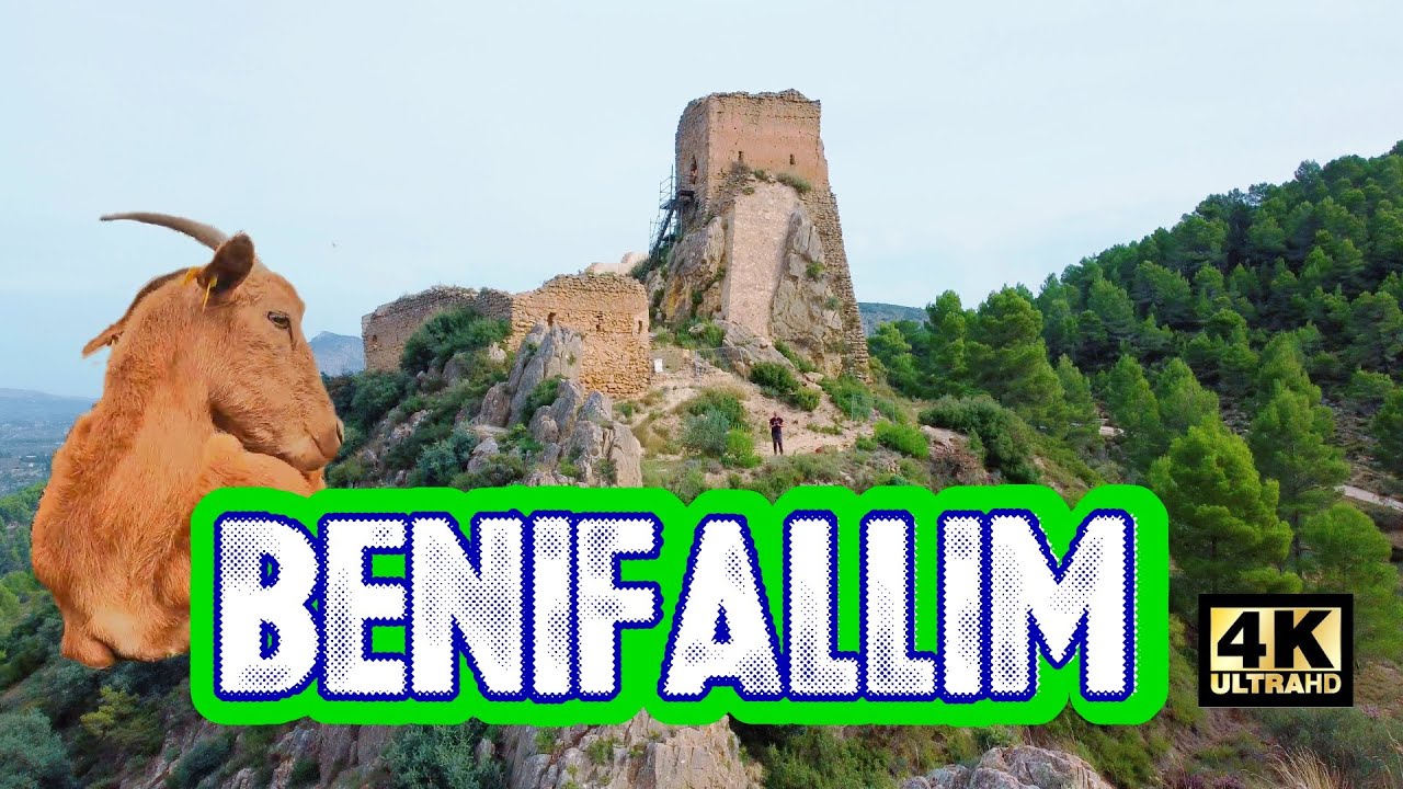 Excursiones-por-Benifallim - La Sierra Noticias