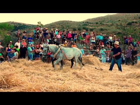 Fiestas-de-Chercos - La Sierra Noticias