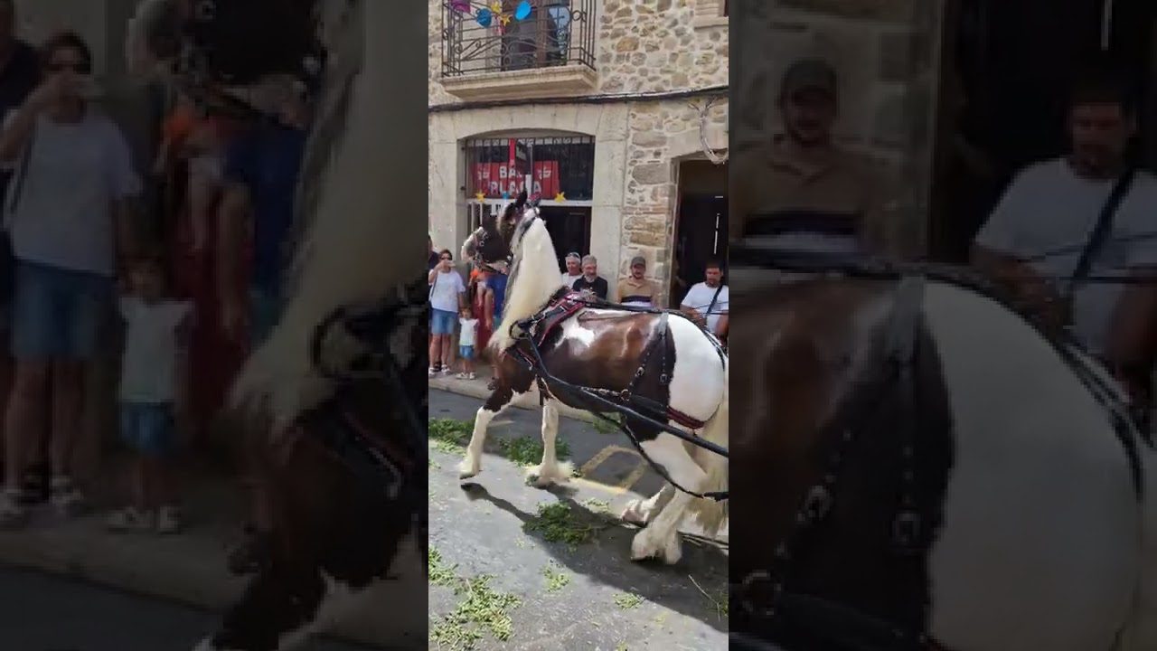 Fiestas-de-Lliber - La Sierra Noticias