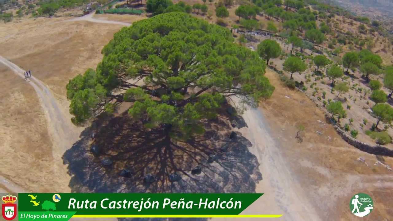 Historia-y-curiosidades-de-Hoyo-de-Pinares - La Sierra Noticias