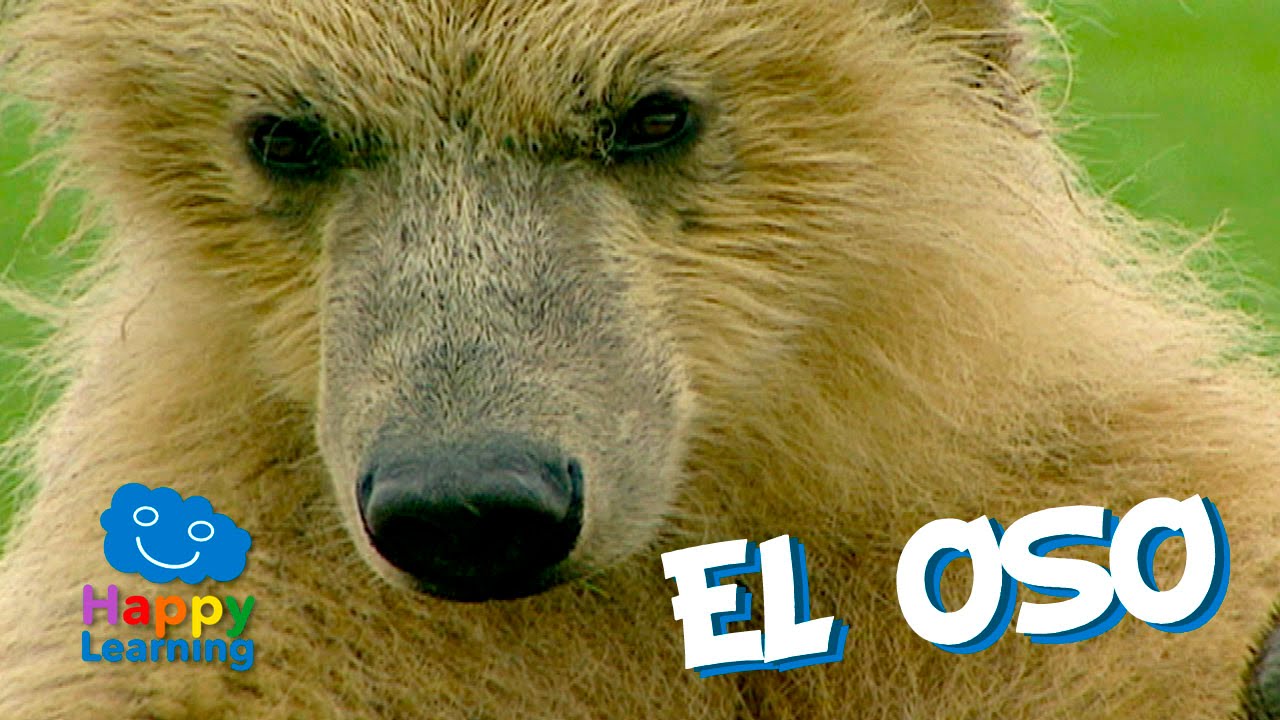 Historia-y-curiosidades-de-Oso - La Sierra Noticias