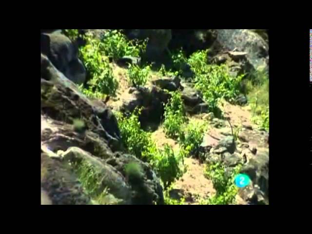 Historia-y-curiosidades-de-Pedro-Bernardo - La Sierra Noticias