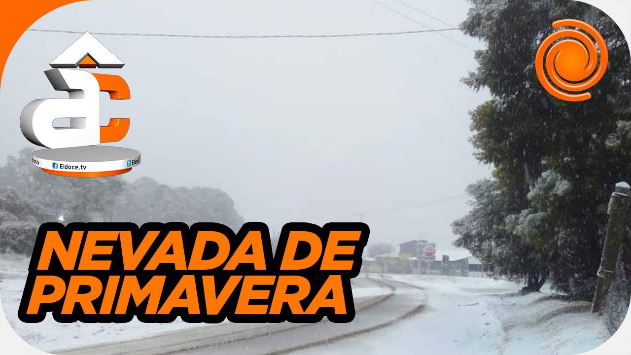 Primavera-en-las-Alturas-Flores-y-Renovacion-en-la-Sierra-Cordobesa - La Sierra Noticias