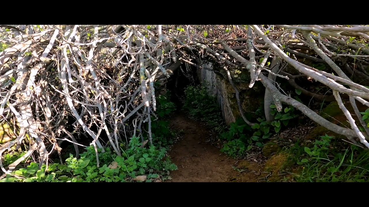 Rincones-Ocultos-Descubre-los-Secretos-Mejor-Guardados-de-Cordoba - La Sierra Noticias